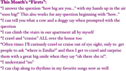 This Month’s “Firsts”:
*I answer the question “how big are you...” with my hands up in the air “sooo big!” This also works for any question beginning with “how..”
*I can tell you what a cow and a doggy say when prompted with the question
*I can climb the stairs in our apartment all by myself
*I crawl and “crusise” ALL over the house too
*Often times I’ll curiously crawl or cruise out of eye sight, only to  get people to ask “where is Emilia?” and then I get to crawl and surprise them with a great big smile when they say “oh there she is!”.
*I understand “no”
*I can clap along to rhythms in my favorite songs now as well
