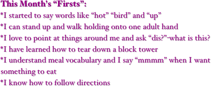 This Month’s “Firsts”:
*I started to say words like “hot” “bird” and “up”
*I can stand up and walk holding onto one adult hand
*I love to point at things around me and ask “dis?”-what is this?
*I have learned how to tear down a block tower
*I understand meal vocabulary and I say “mmmm” when I want something to eat
*I know how to follow directions