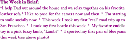 The Week in Brief:
*I help Dad out around the house and we relax together on his favorite leather sofa * I like to pose for the camera now and then  *  I’m starting to smile socially now  *  This week I took my first “real” road trip up to San Francisco  *  I took my first bottle this week  *  My favorite cuddle toy is a pink fuzzy lamb, “Lambi”  *  I sported my first pair of blue jeans this week (see above photo)
