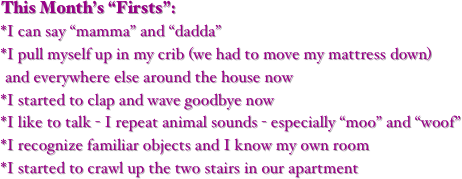 This Month’s “Firsts”:
*I can say “mamma” and “dadda”
*I pull myself up in my crib (we had to move my mattress down)
 and everywhere else around the house now 
*I started to clap and wave goodbye now
*I like to talk - I repeat animal sounds - especially “moo” and “woof”
*I recognize familiar objects and I know my own room
*I started to crawl up the two stairs in our apartment